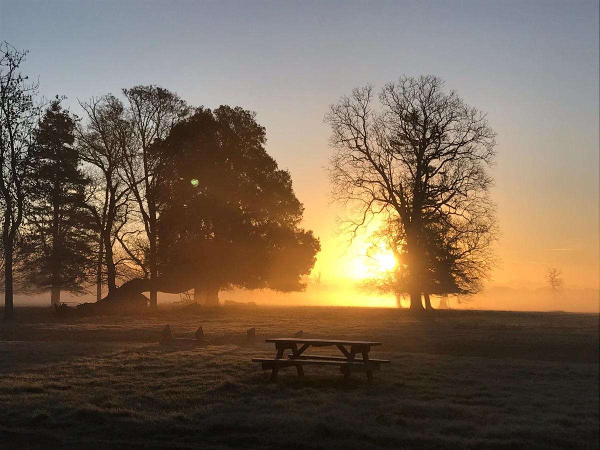 Bed & Breakfast The Stables At Henham Park 4*
